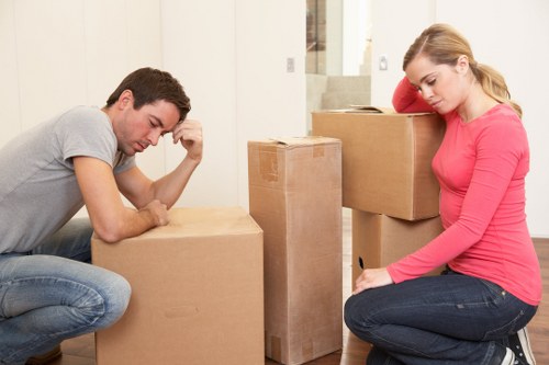 Professional man and van moving items in Camden apartment