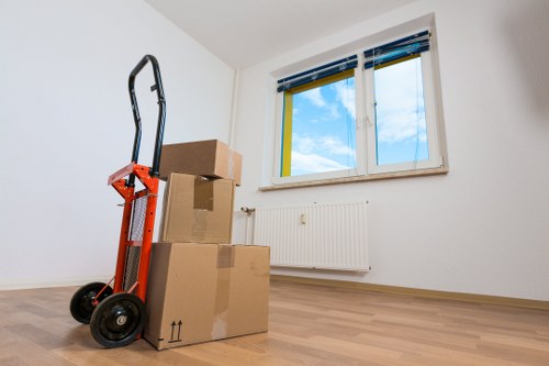 Local removalists in Camden carefully handling household items