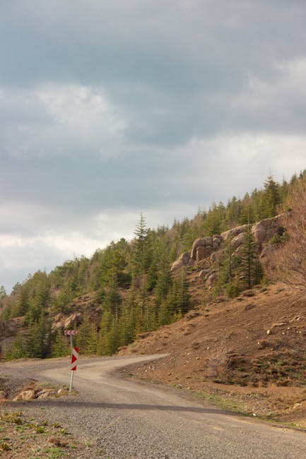 A winding country road with fresh white lane markings curves through green rolling hills under a cloudy sky. The grassy landscape features patches of brown and orange foliage along the roadside, with 
